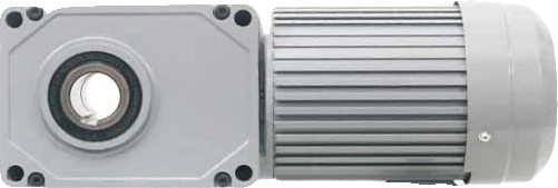 Motor giảm tốc trục vuông góc cốt âm Houle – góc nhìn tổng thể