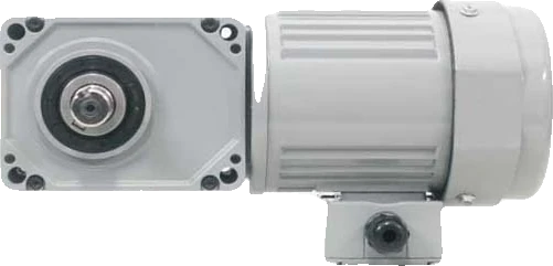 Motor giảm tốc trục vuông góc cốt dương Houle – góc nhìn tổng thể